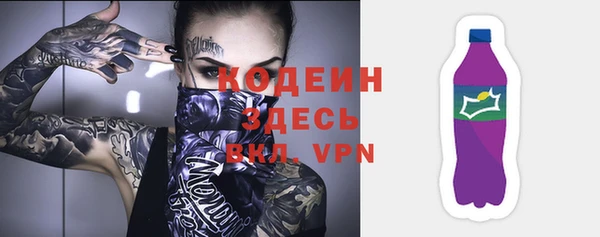 ГАЛЛЮЦИНОГЕННЫЕ ГРИБЫ Кодинск