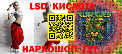 гашик Кимры