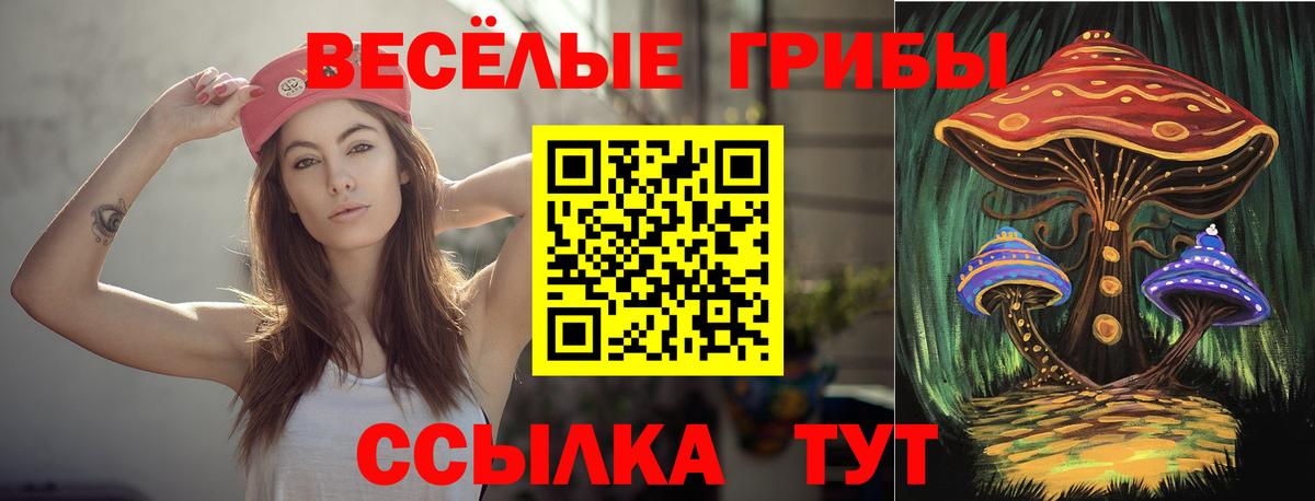 Галлюциногенные грибы Psilocybe  Псилоцибиновые грибы ЛСД  Вход с VPN  Усть-Илимск 
