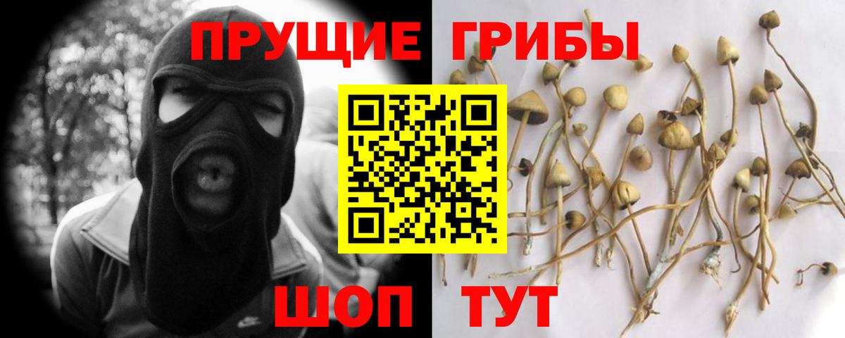 Псилоцибиновые грибы прущие грибы Усть-Илимск