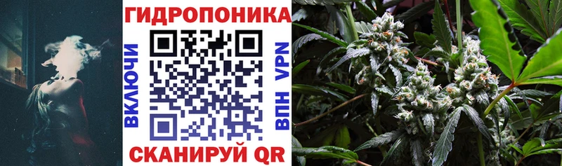 Бошки Шишки OG Kush  Купить закладки  Усть-Илимск 